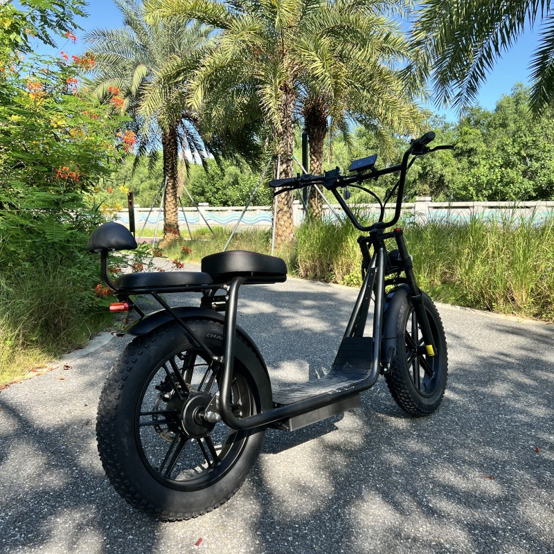 AS202 Electric Scooter β Upgraded Fork & Color Display