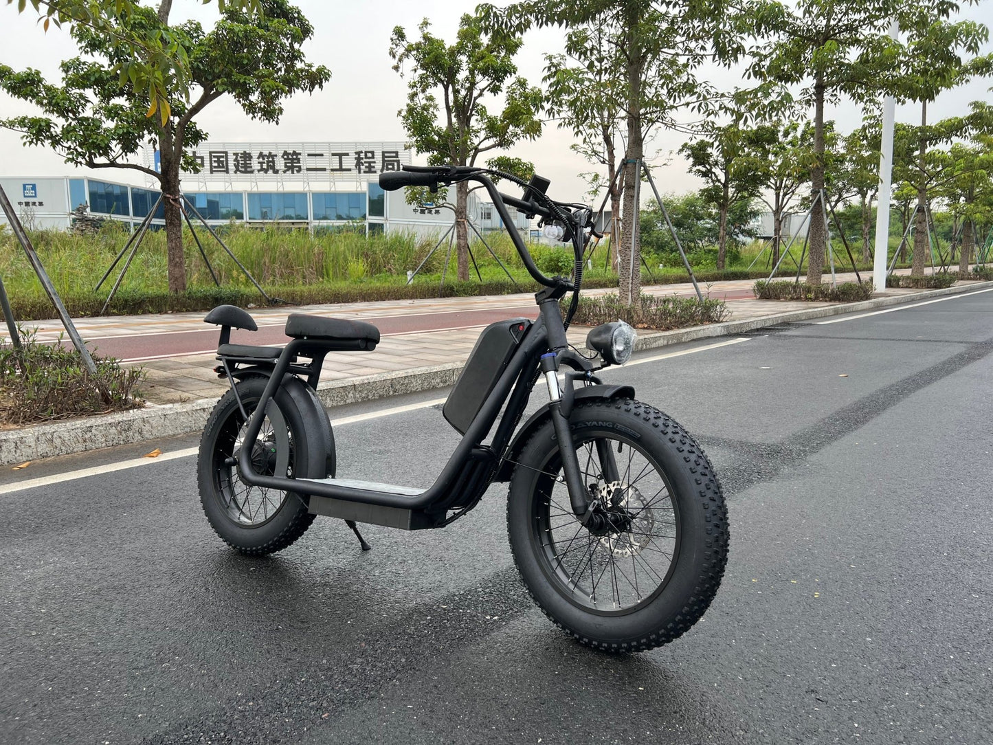AS201 20 - Inch Fat Tire Electric Scooter Bike | Removable Battery, Dual Battery Option, Long - Range Ride - Airplaying Scooter