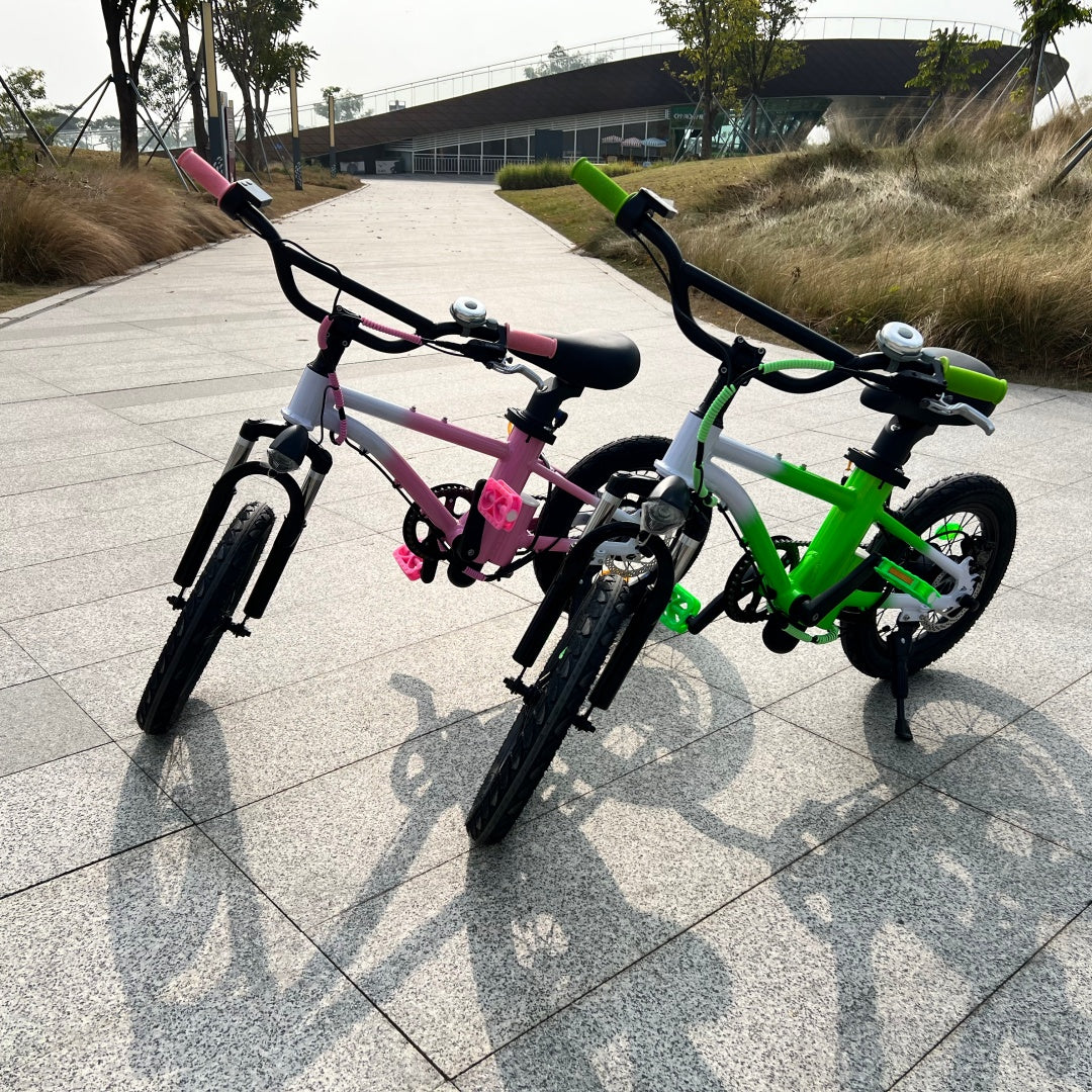 How Did Electric Bicycles Become Part of Family Life?