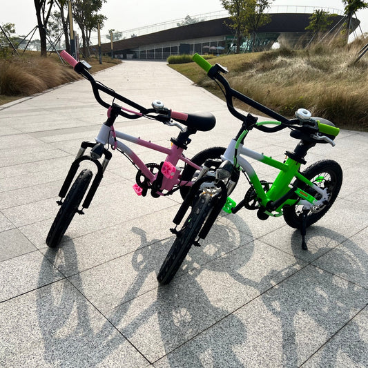 How Did Electric Bicycles Become Part of Family Life?