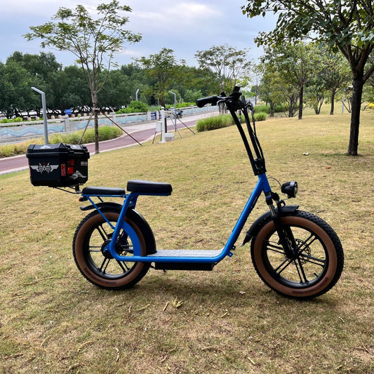 From Single Riders to Multi-Scenario Use: How AS201 & AS202 Adapt