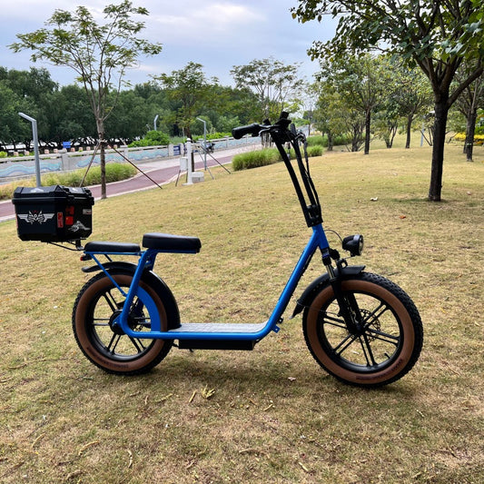 Why Dual Motor Scooters Are Gaining Popularity in 2025