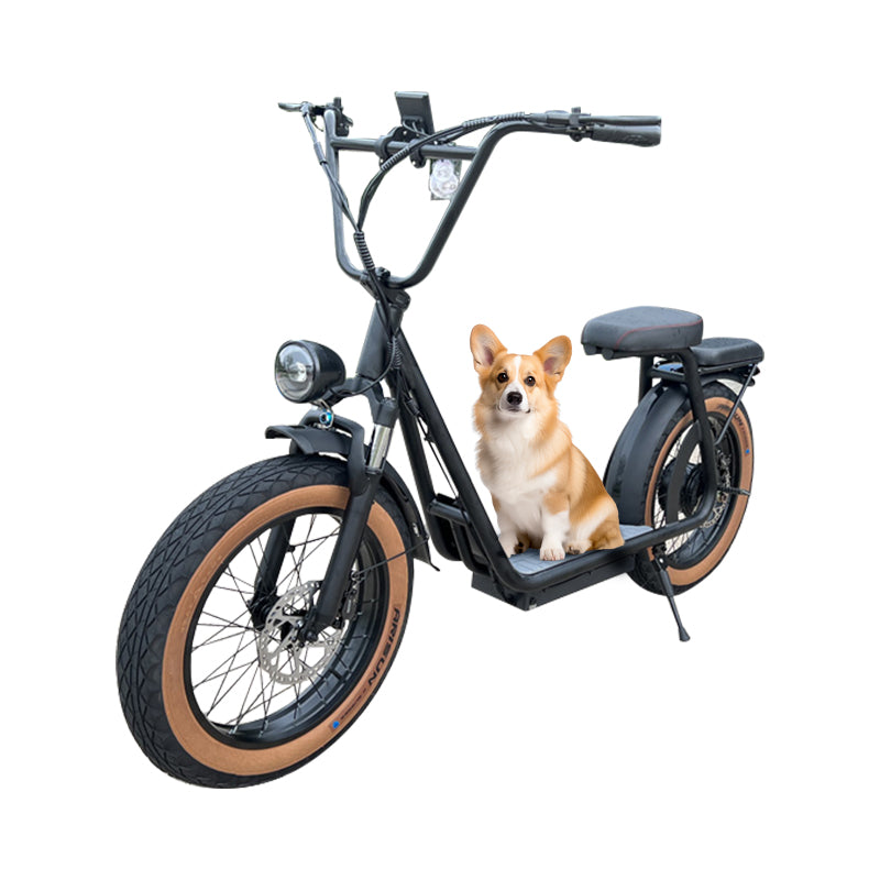 High-Power 20" Electric Scooter with Long Range and Samsung Battery