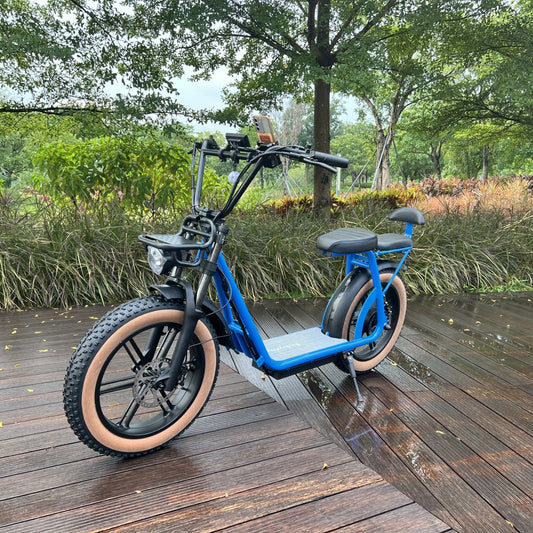 AS202 Beachcomber Electric Scooter – Upgraded Fork & Color Display