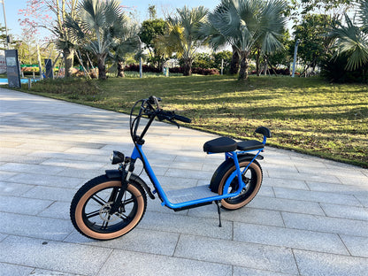 Integrated wheel personalized bluetooth electric Vehicle
