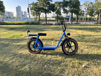 Integrated wheel personalized bluetooth electric Vehicle