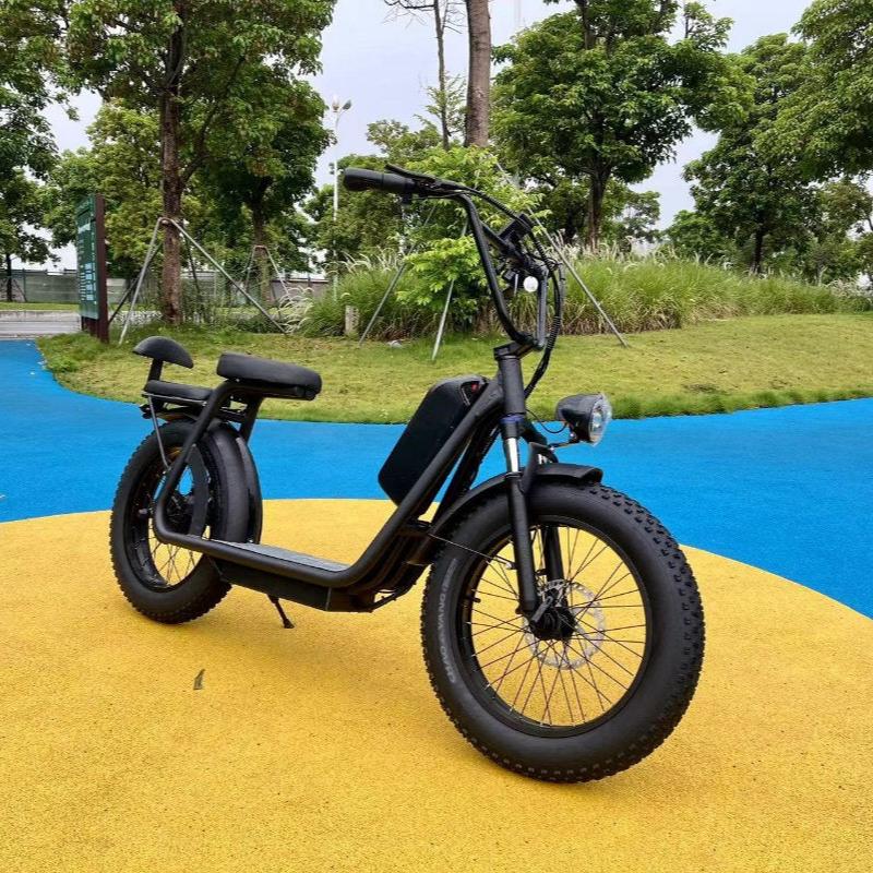 Two Battery Electric Scooter-40Ah Samsung Lithium Battery