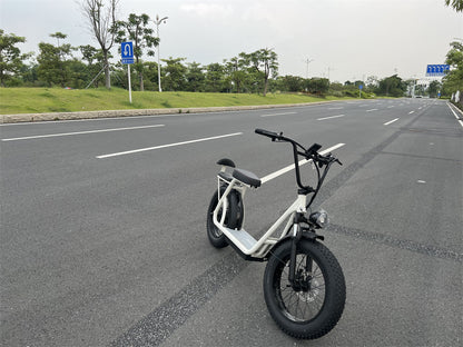 Anti theft urban electric scooter with lock