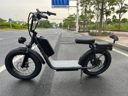AS201 20 - Inch Fat Tire Electric Scooter Bike | Removable Battery, Dual Battery Option, Long - Range Ride - Airplaying Scooter
