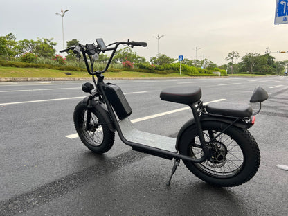 AS201 20 - Inch Fat Tire Electric Scooter Bike | Removable Battery, Dual Battery Option, Long - Range Ride - Airplaying Scooter