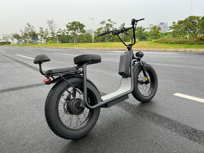 AS201 20 - Inch Fat Tire Electric Scooter Bike | Removable Battery, Dual Battery Option, Long - Range Ride - Airplaying Scooter