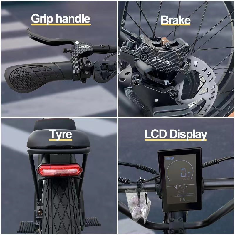 AS201 20 - Inch Fat Tire Electric Scooter Bike | Removable Battery, Dual Battery Option, Long - Range Ride - Airplaying Scooter