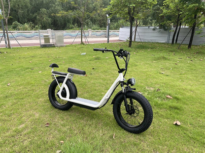 AS201 Anti - Theft Electric Scooter – 48V 1000W Motor, Long Range, NFC Unlock + Built - In Security Lock - Airplaying Scooter