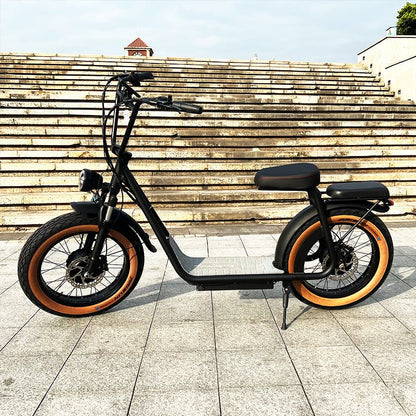 AS201 & AS202 Dual Motor Electric Scooter with 1000W front and rear motors, shown on stone pavement with wide tires for steep hill climbing.