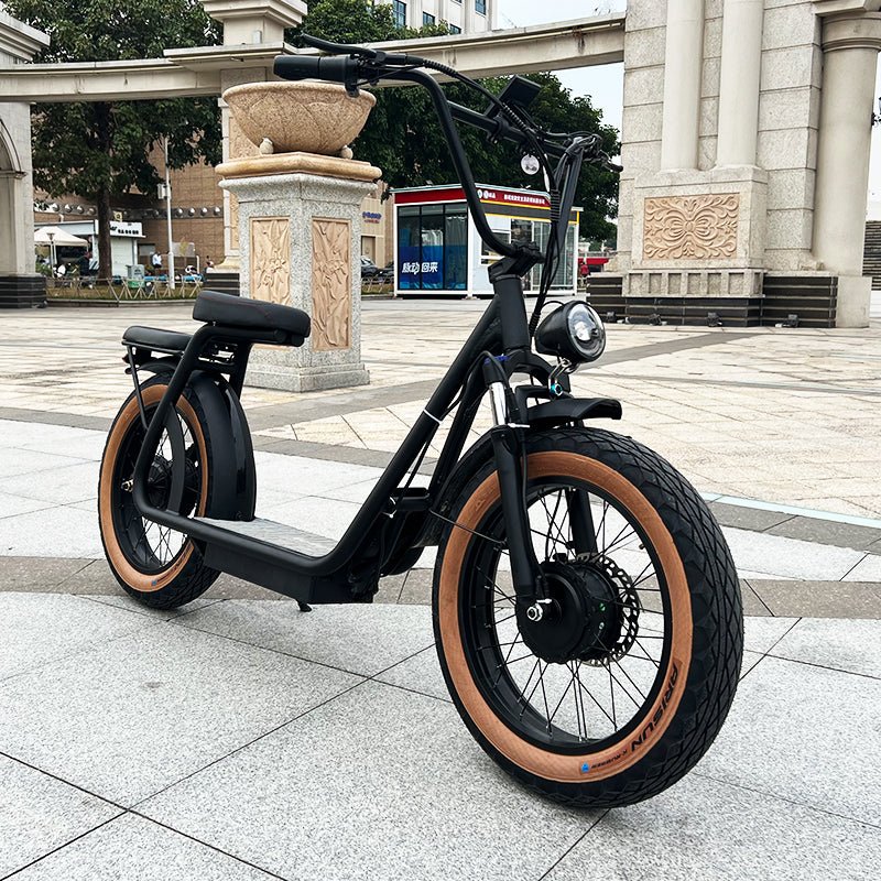 AS201 & AS202 Dual Motor Electric Scooter in matte black, featuring fat tires and dual headlights, ideal for off-road and urban commuting.