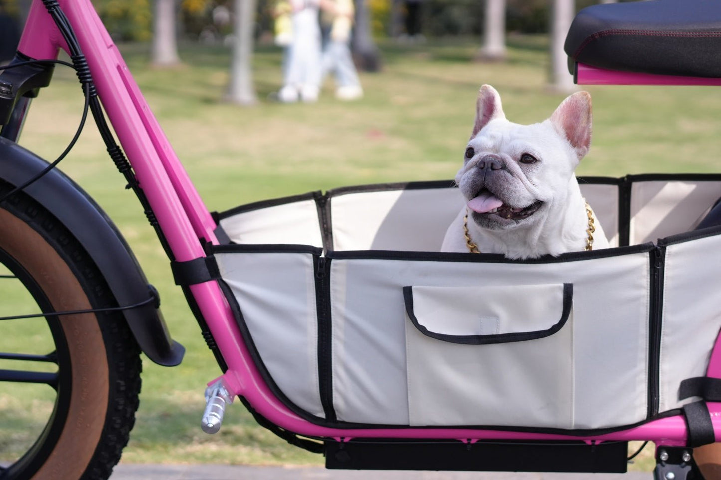 AS201 & AS202 Electric Scooter with Removable Pet Carrier – Safe Outdoor Pet Rides - Airplaying Scooter