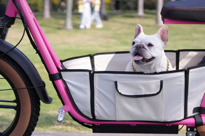 AS201 & AS202 Electric Scooter with Removable Pet Carrier – Safe Outdoor Pet Rides - Airplaying Scooter