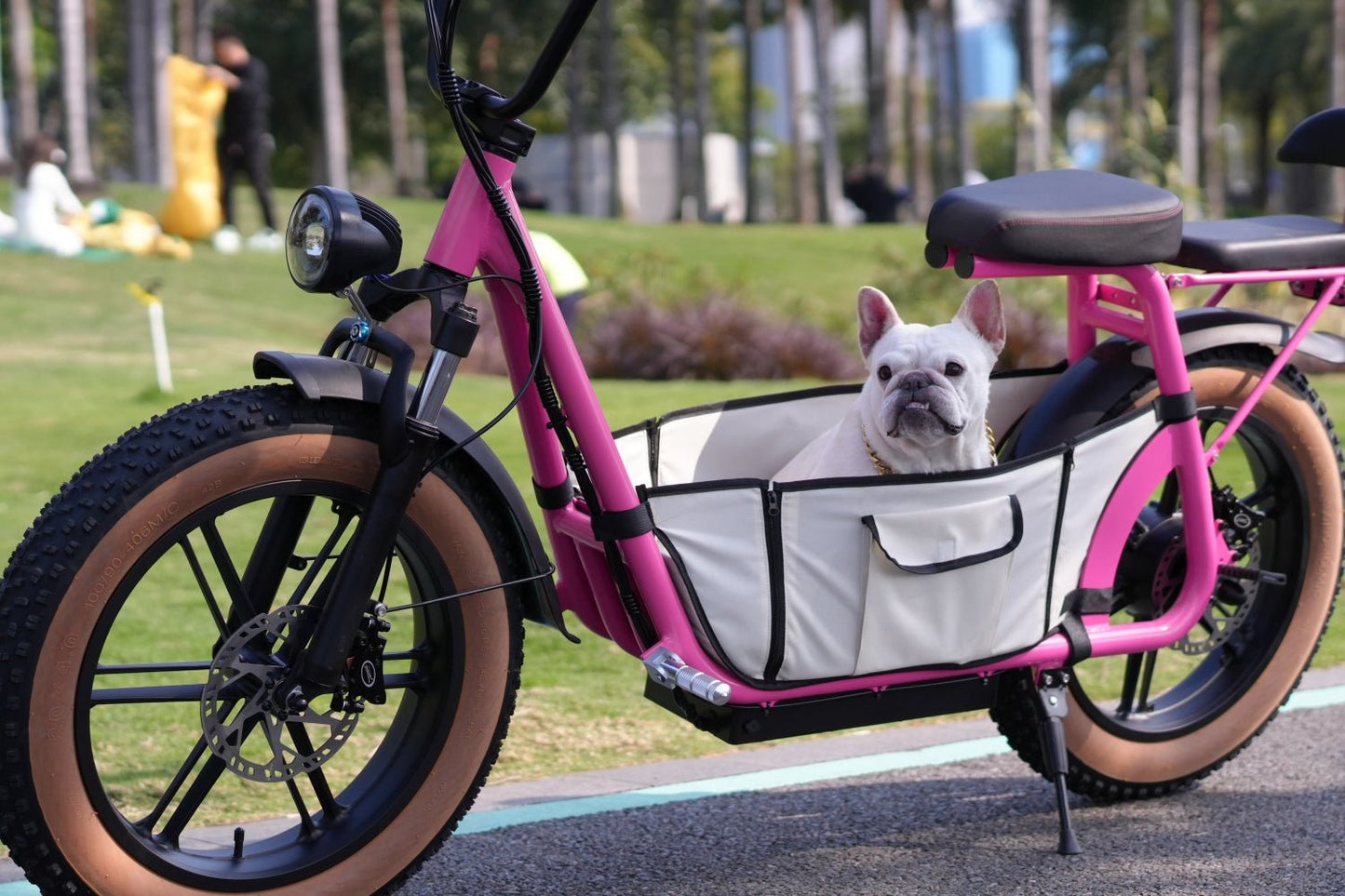 AS201 & AS202 Electric Scooter with Removable Pet Carrier – Safe Outdoor Pet Rides - Airplaying Scooter