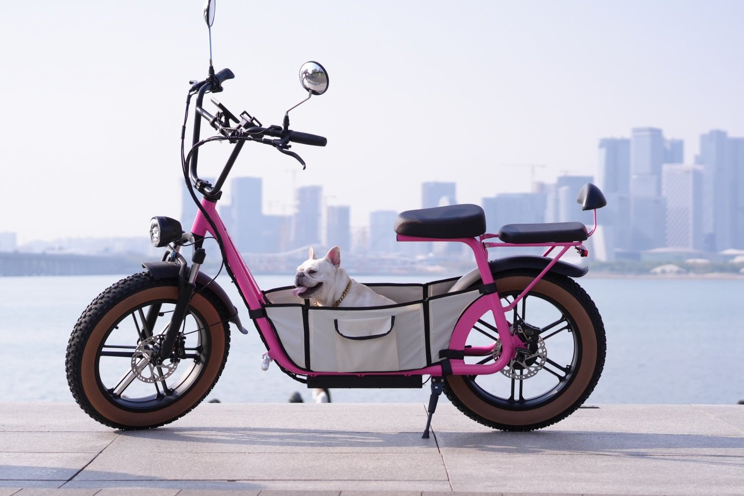 AS201 & AS202 Electric Scooter with Removable Pet Carrier – Safe Outdoor Pet Rides - Airplaying Scooter