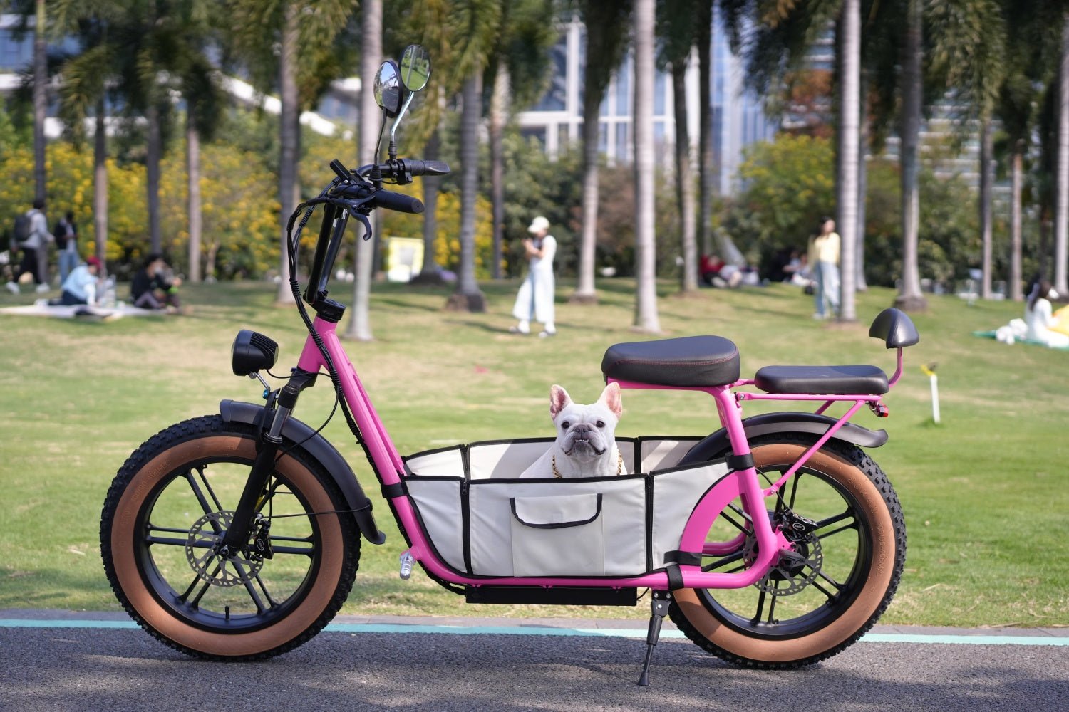 AS201 & AS202 Electric Scooter with Removable Pet Carrier – Safe Outdoor Pet Rides - Airplaying Scooter