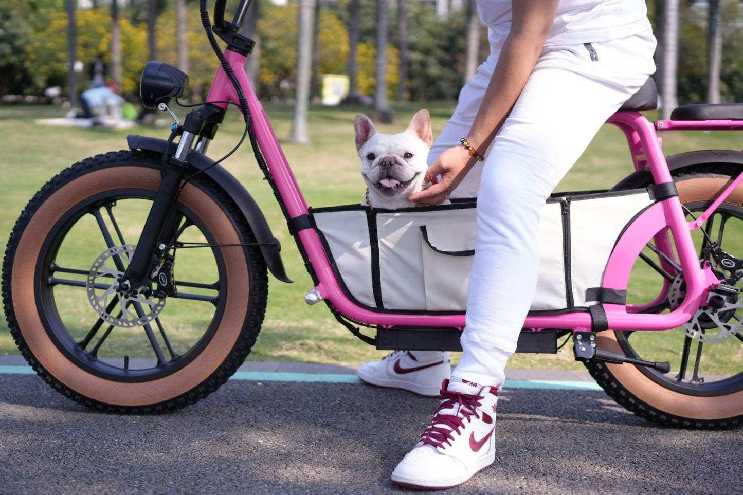 AS201 & AS202 Electric Scooter with Removable Pet Carrier – Safe Outdoor Pet Rides - Airplaying Scooter