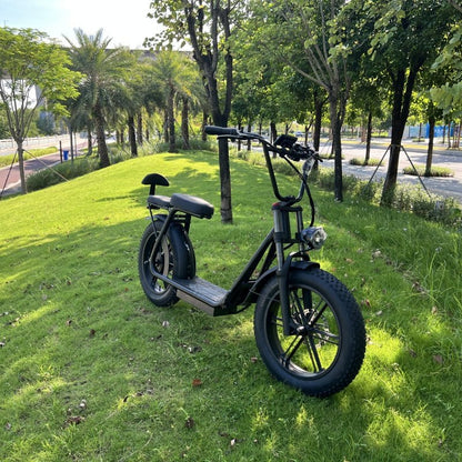 Black AS202 Electric Scooter with dual seat and fat tires, positioned on a grassy hill for off-road performance.