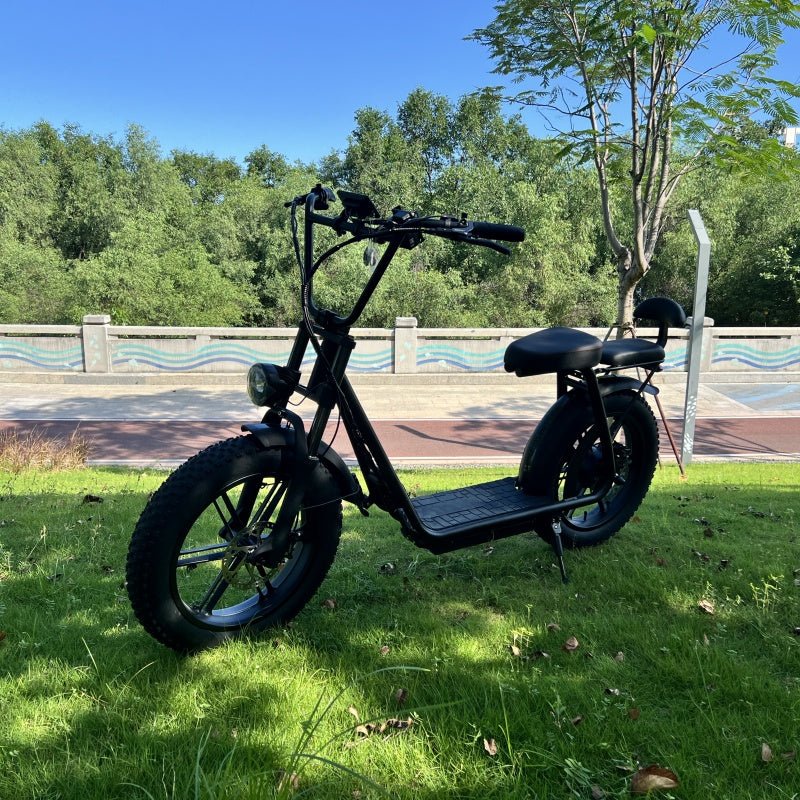 AS202 Electric Scooter in black parked on grass, showcasing its wide tires and upgraded front fork for stability.