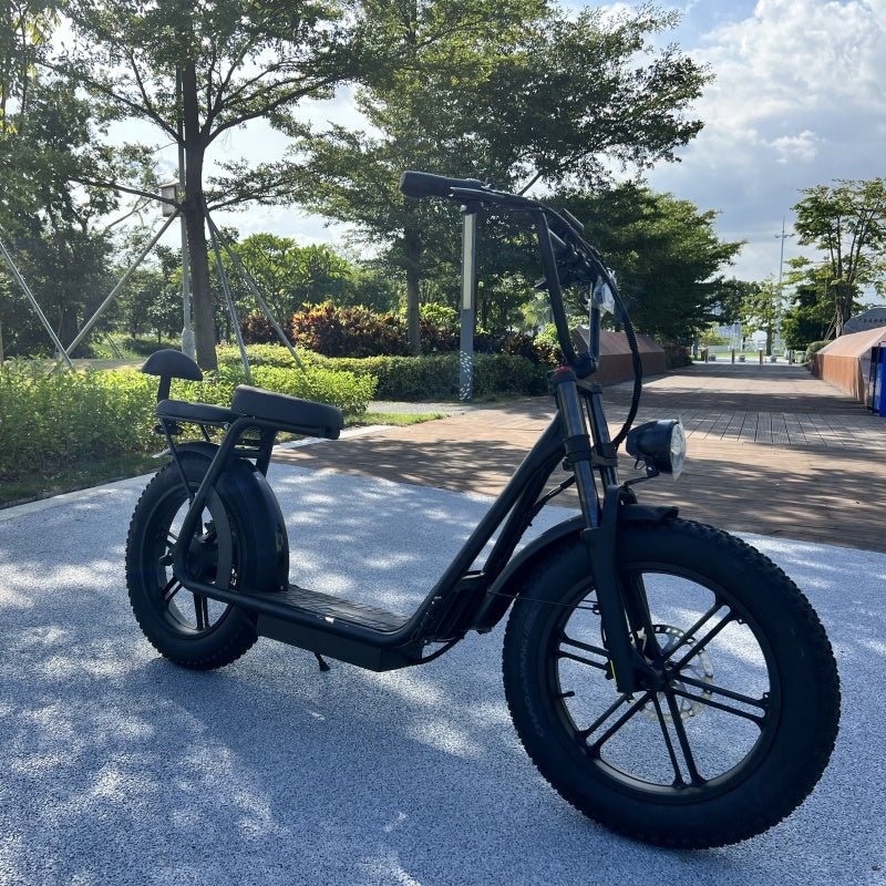 AS202 Electric Scooter in black with upgraded fork and wide tires, parked on a sunny path for outdoor recreation.
