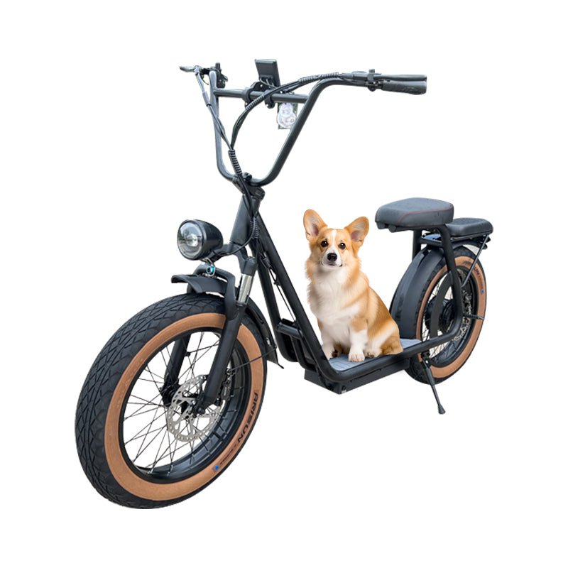 High - Power 20" Beachcomber Electric Scooter with Long Range and Samsung Battery - Airplaying Scooter