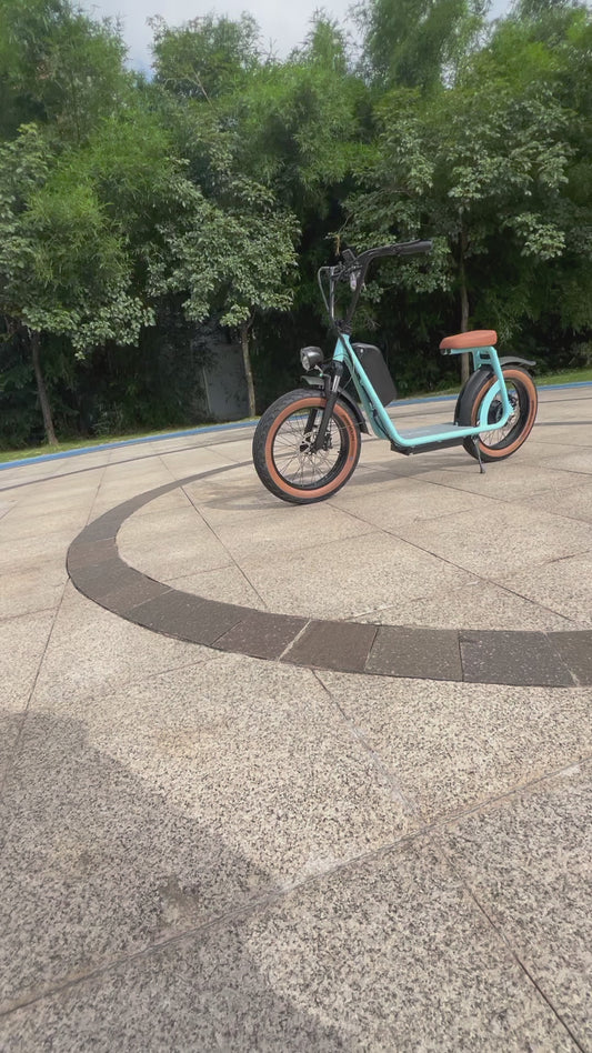 48V 1000W Adults Electric Scooter with Removable Battery