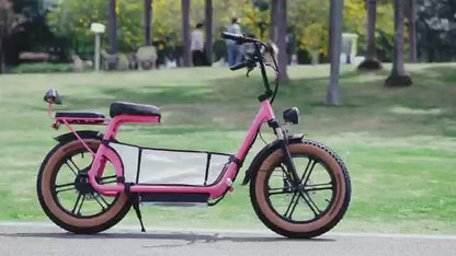 electric scooter with removable pet carrier installed
