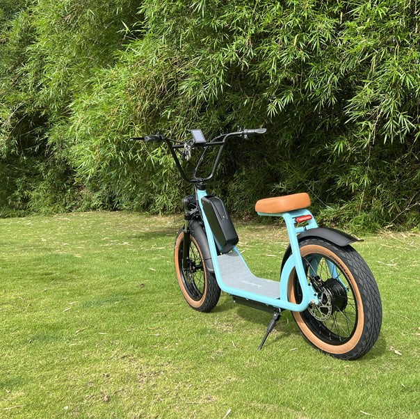 48V 1000W Adults Electric Scooter with Removable Battery