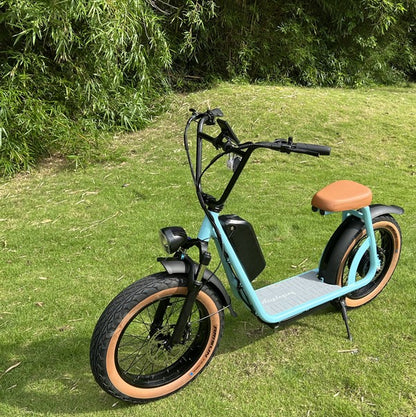 48V 1000W Adults Electric Scooter with Removable Battery