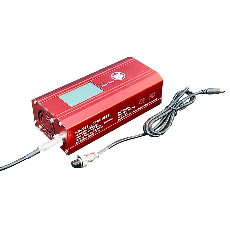 3 in 1 Lithium battery 5A Charger